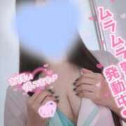 ヒメ日記 2025/07/01 10:21 投稿 Rana 濃密バブルSPA VIP