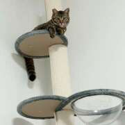 ヒメ日記 2025/06/30 19:41 投稿 しゅな ラブ＆ナース