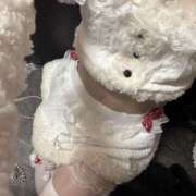 ヒメ日記 2025/12/19 21:49 投稿 RUI Club SEXY