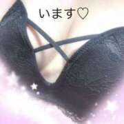 ヒメ日記 2025/06/11 14:06 投稿 あき 熟女総本店 日本橋ミナミエリア店