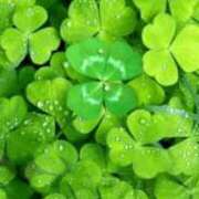 ヒメ日記 2025/06/25 12:26 投稿 あき 熟女総本店 日本橋ミナミエリア店