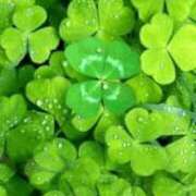 ヒメ日記 2025/07/04 16:26 投稿 あき 熟女総本店 日本橋ミナミエリア店