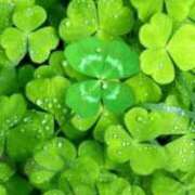 ヒメ日記 2025/07/09 16:26 投稿 あき 熟女総本店 日本橋ミナミエリア店