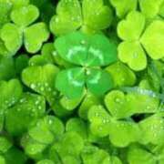 ヒメ日記 2025/07/18 17:31 投稿 あき 熟女総本店 日本橋ミナミエリア店