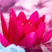 ヒメ日記 2025/07/28 19:26 投稿 あき 熟女総本店 日本橋ミナミエリア店