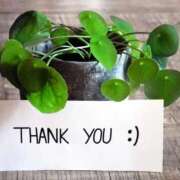 ヒメ日記 2025/09/10 17:16 投稿 あき 熟女総本店 日本橋ミナミエリア店