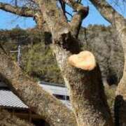 ヒメ日記 2025/10/03 13:46 投稿 あき 熟女総本店 日本橋ミナミエリア店