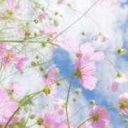 ヒメ日記 2025/10/09 17:26 投稿 あき 熟女総本店 日本橋ミナミエリア店