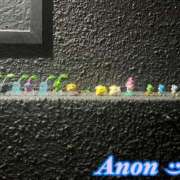 ヒメ日記 2025/11/29 19:11 投稿 アノン【潮吹き警報MAX】 ドＭなバニーちゃん小倉店