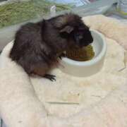 ヒメ日記 2025/06/15 23:44 投稿 まりあ One More奥様　横浜関内店