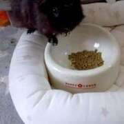 ヒメ日記 2025/11/07 14:42 投稿 まりあ One More奥様　横浜関内店