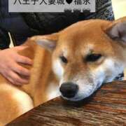 ヒメ日記 2025/05/30 23:48 投稿 福永(ふくなが) 八王子人妻城