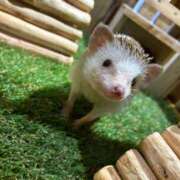 ヒメ日記 2025/06/04 11:18 投稿 福永(ふくなが) 八王子人妻城