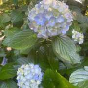 ヒメ日記 2025/06/22 00:33 投稿 福永(ふくなが) 八王子人妻城