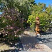 ヒメ日記 2025/06/30 02:33 投稿 福永(ふくなが) 八王子人妻城