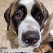 ヒメ日記 2025/06/30 02:48 投稿 福永(ふくなが) 八王子人妻城