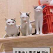 ヒメ日記 2025/07/05 10:06 投稿 福永(ふくなが) 八王子人妻城