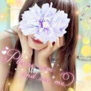 ヒメ日記 2025/10/25 12:28 投稿 白雪京子 五十路マダム静岡店（カサブランカG）