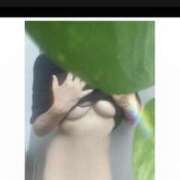 ヒメ日記 2025/05/29 23:30 投稿 なな 美妻川越～熟女との時間～