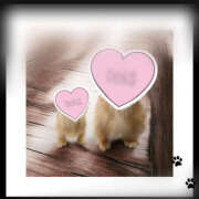 ヒメ日記 2025/07/02 08:21 投稿 なな 美妻川越～熟女との時間～