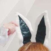 ヒメ日記 2025/08/03 08:03 投稿 ねま もみもみワンダーランド