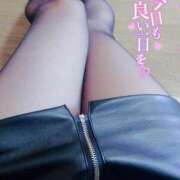 ヒメ日記 2025/11/23 11:58 投稿 すみか『ガール』 ディオーネ