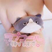 ヒメ日記 2025/11/24 08:29 投稿 すみか『ガール』 ディオーネ