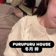 ヒメ日記 2025/10/21 21:00 投稿 冬月 梓 プルプルハウス