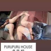 ヒメ日記 2025/10/27 21:01 投稿 冬月 梓 プルプルハウス