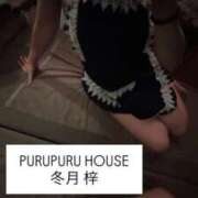 ヒメ日記 2025/11/08 22:01 投稿 冬月 梓 プルプルハウス