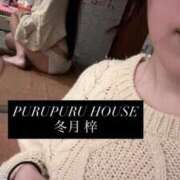 ヒメ日記 2025/12/02 21:01 投稿 冬月 梓 プルプルハウス