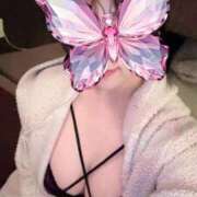 ヒメ日記 2025/12/09 17:00 投稿 冬月 梓 プルプルハウス