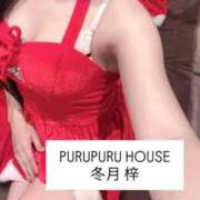 ヒメ日記 2025/12/24 22:00 投稿 冬月 梓 プルプルハウス