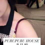 ヒメ日記 2025/12/29 22:00 投稿 冬月 梓 プルプルハウス