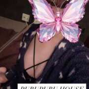 ヒメ日記 2025/12/30 17:00 投稿 冬月 梓 プルプルハウス