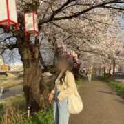 ヒメ日記 2025/05/14 17:07 投稿 鮎川 ひめの プルプルハウス