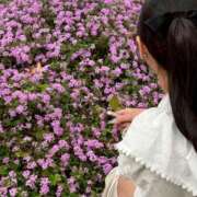 ヒメ日記 2025/05/15 01:27 投稿 鮎川 ひめの プルプルハウス