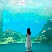 ヒメ日記 2025/06/02 16:51 投稿 鮎川 ひめの プルプルハウス