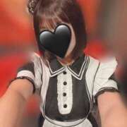 ヒメ日記 2025/10/26 16:55 投稿 鮎川 ひめの プルプルハウス