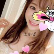 ヒメ日記 2025/06/07 11:27 投稿 よかぜ ハピネス東京