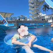 ヒメ日記 2025/07/26 01:04 投稿 ねむ みつらん鉄道