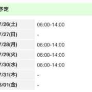 ヒメ日記 2025/07/28 00:14 投稿 ねむ みつらん鉄道