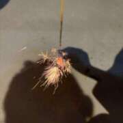 ヒメ日記 2025/08/03 00:04 投稿 ねむ みつらん鉄道