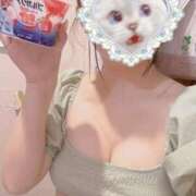 ヒメ日記 2025/08/18 00:24 投稿 ねむ みつらん鉄道