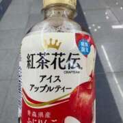 ヒメ日記 2025/08/24 12:05 投稿 ねむ みつらん鉄道