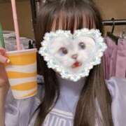 ヒメ日記 2025/08/28 13:04 投稿 ねむ みつらん鉄道