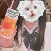 ヒメ日記 2025/09/02 11:54 投稿 ねむ みつらん鉄道