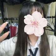 ヒメ日記 2025/09/15 14:26 投稿 ねむ みつらん鉄道