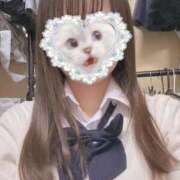 ヒメ日記 2025/09/26 12:14 投稿 ねむ みつらん鉄道