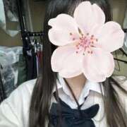 ヒメ日記 2025/09/30 00:04 投稿 ねむ みつらん鉄道